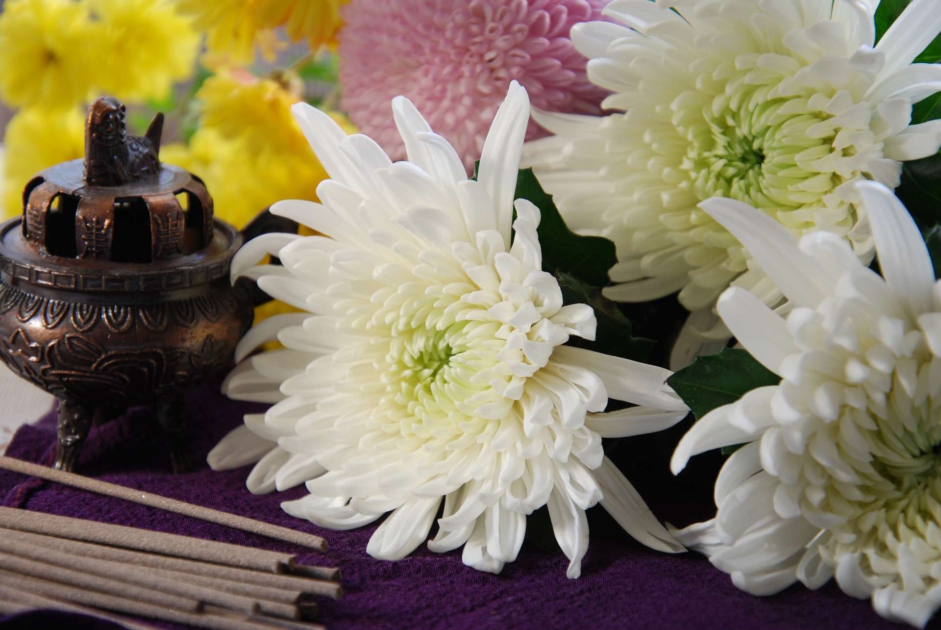 札幌市中央区 直葬プラン